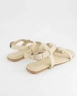 Chantelle Sandal -Fashion General Store 102400266 C10 5