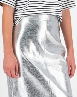 Autumn Metallic Skirt -Fashion General Store 105090239 C12 4